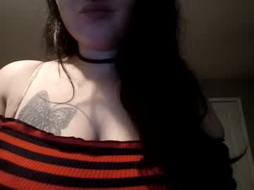 dinokat69
