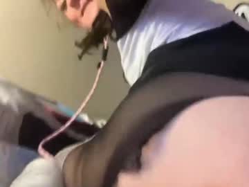 kitten kylee