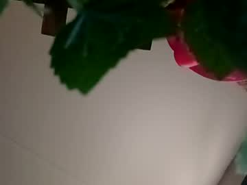 rizzarabbit