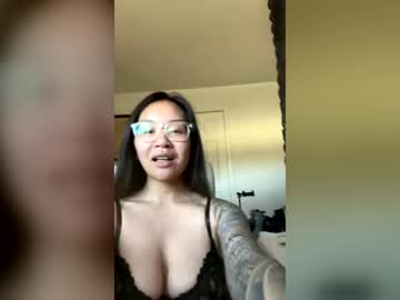 trvnkitty